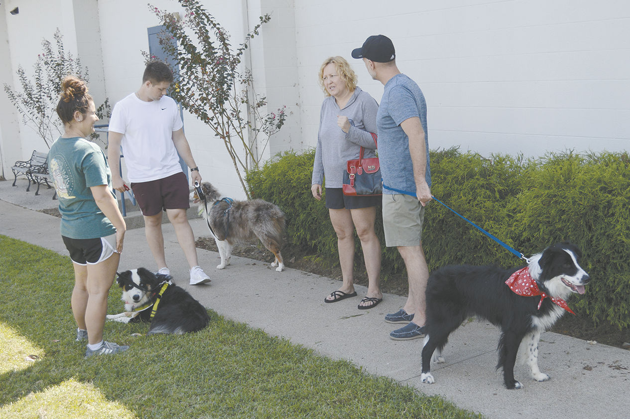 Annual Doggie Day Spa